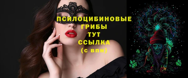 твердый Лиски