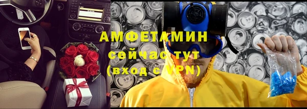 твердый Лиски